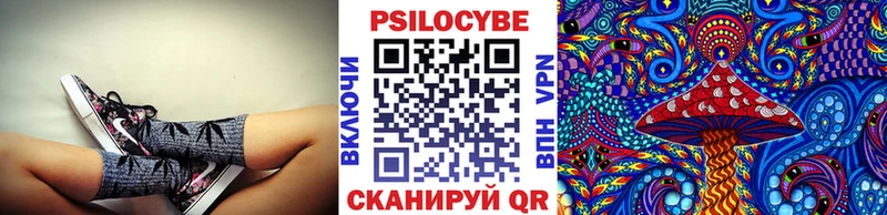 Псилоцибиновые грибы GOLDEN TEACHER  Купить где  Малгобек 